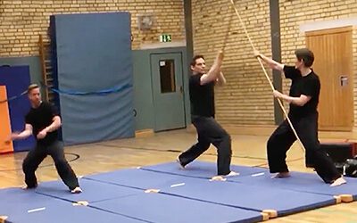 Kung Fu Panther. Shaolin Kung Fu + Tai Chi Chuan – Kampfkunst-Training in Köln Ehrenfeld mit Sylvia De Rosa.